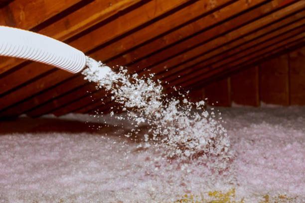 Best Insulation Contractors for Homes  in Carrboro, NC
