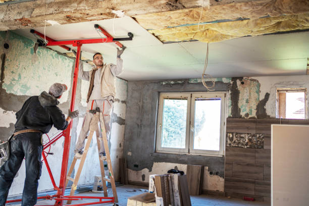 Best Insulation Removal  in Carrboro, NC