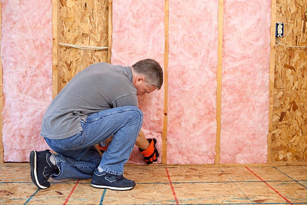 Best Crawl Space Insulation  in Carrboro, NC